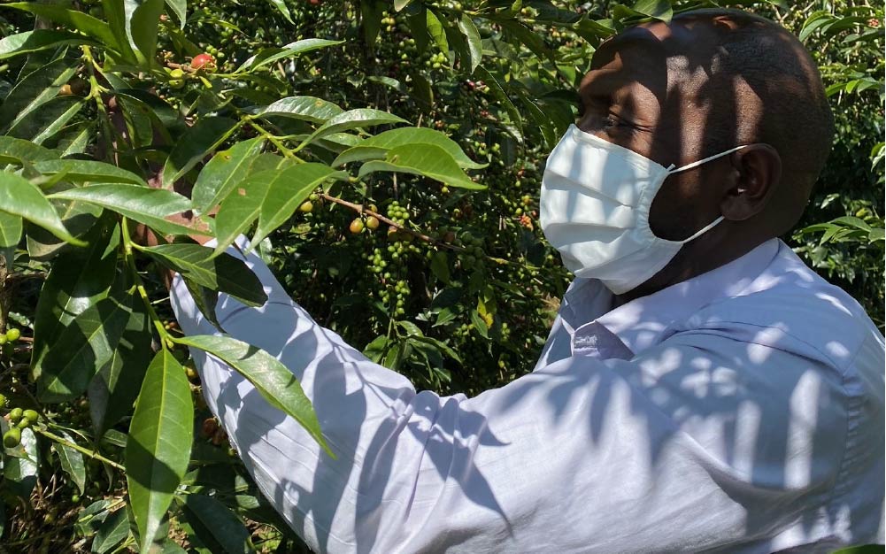 Akiya Coffee farmers against covid